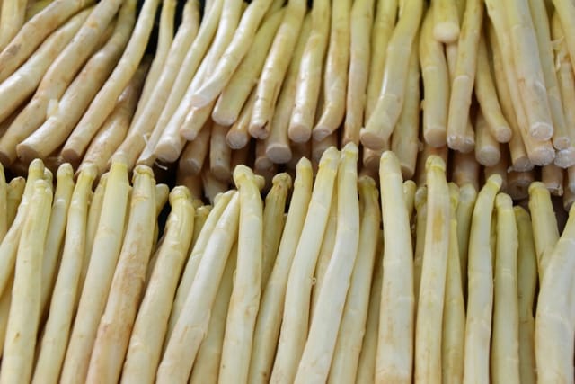 Asparagi bianchi di Bassano