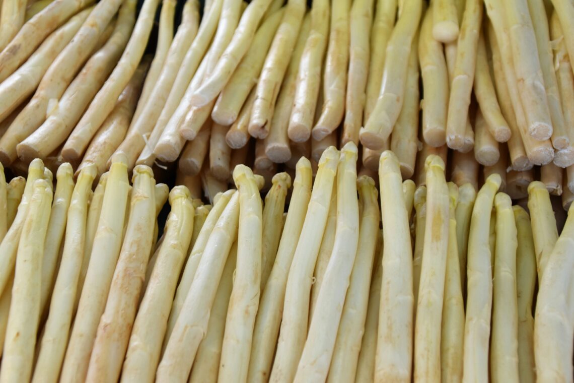 asparagi bianchi