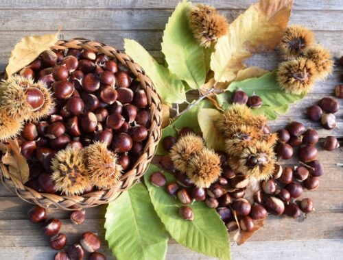 castagne